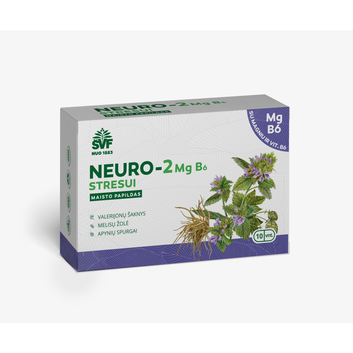 ŠVF NEURO-3 Mg B6 kapsulės N10 - 