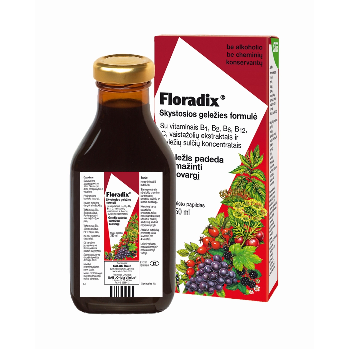FLORADIX skystosios geležies formulė, 250ml - 