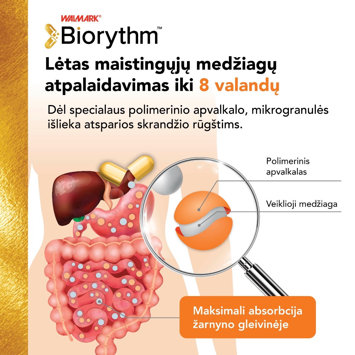 BIORYTHM MAGNE B6 (prailginto veikimo Magnis su B6), 30 kapsulių -  3
