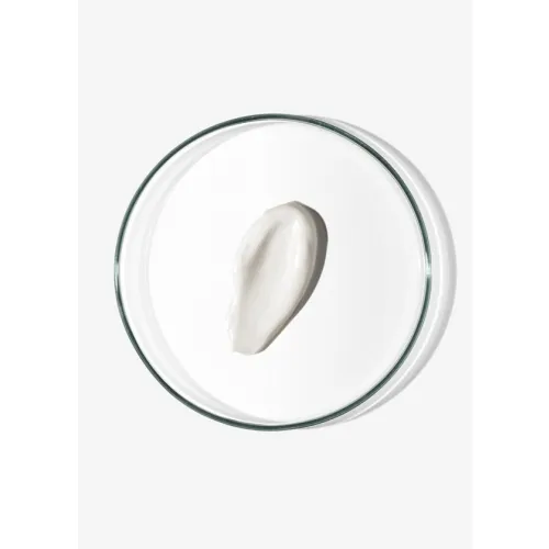BABÉ stangrinamasis dieninis kremas HEALTHY AGING+ SPF30, 50ml -  2