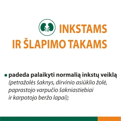 FITOLIZYNA inkstų, šlapimo veiklai gerinti NEFROCAPS PLUS, 30 kapsulių -  2