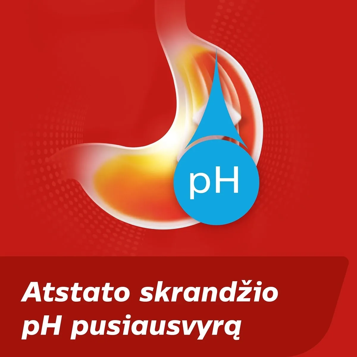 Rennie 680mg/80mg kramtomosios tabletės N24 -  5