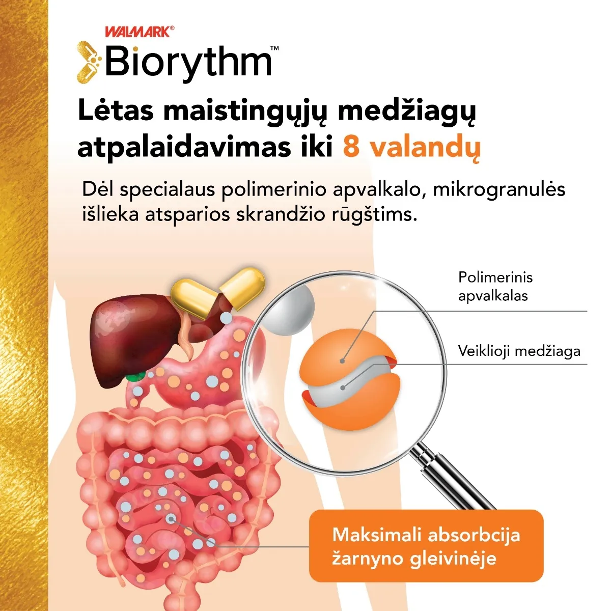 BIORYTHM ASHWAGANDHA (prailginto veikimo ašvaganda), 30 kapsulių -  3