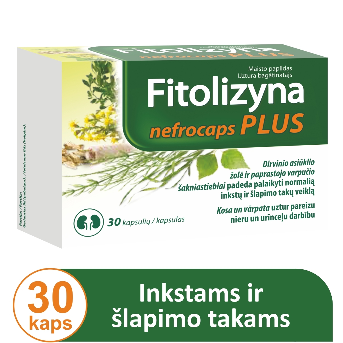 FITOLIZYNA inkstų, šlapimo veiklai gerinti NEFROCAPS PLUS, 30 kapsulių -  6