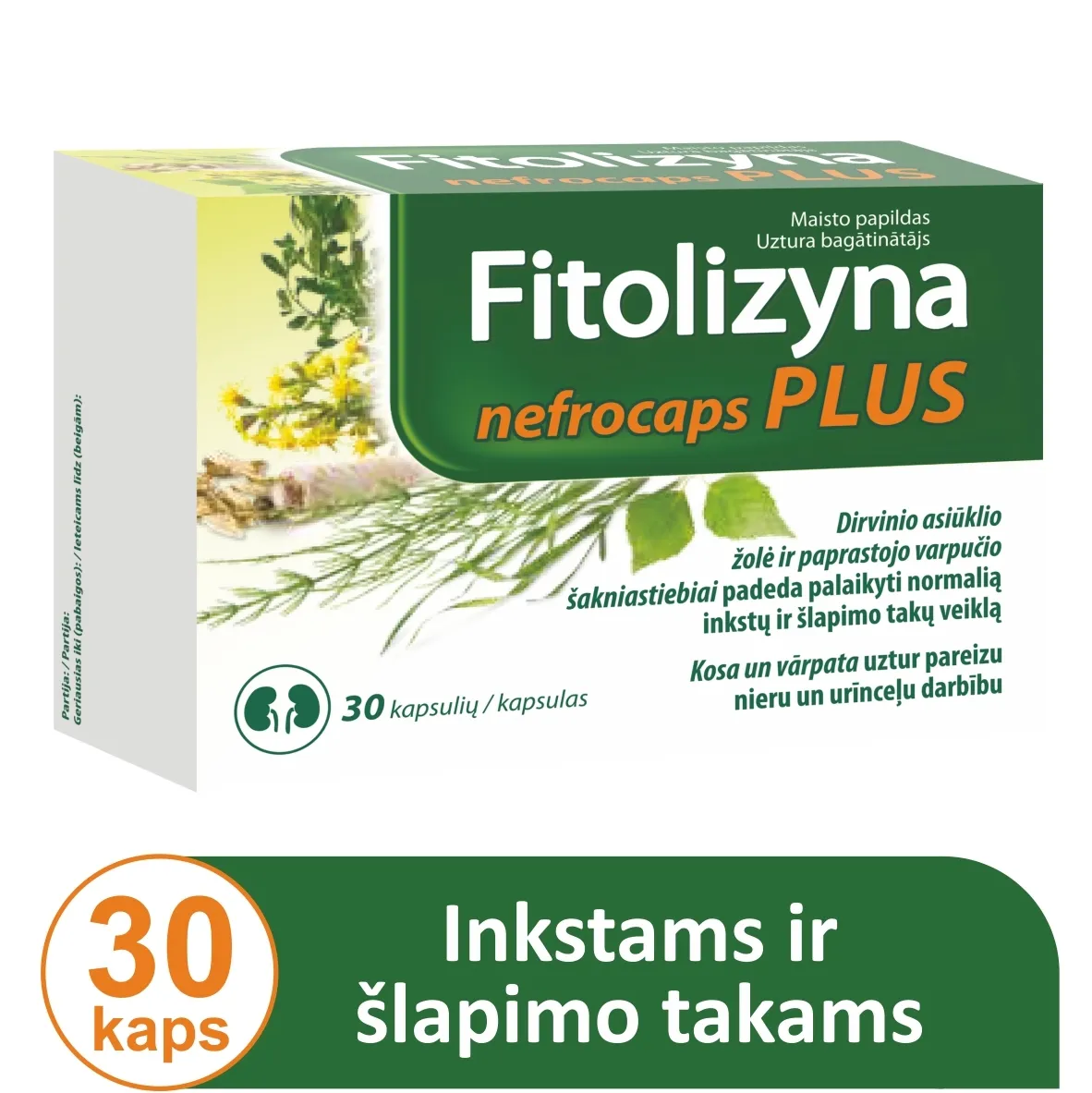 FITOLIZYNA inkstų, šlapimo veiklai gerinti NEFROCAPS PLUS, 30 kapsulių -  6