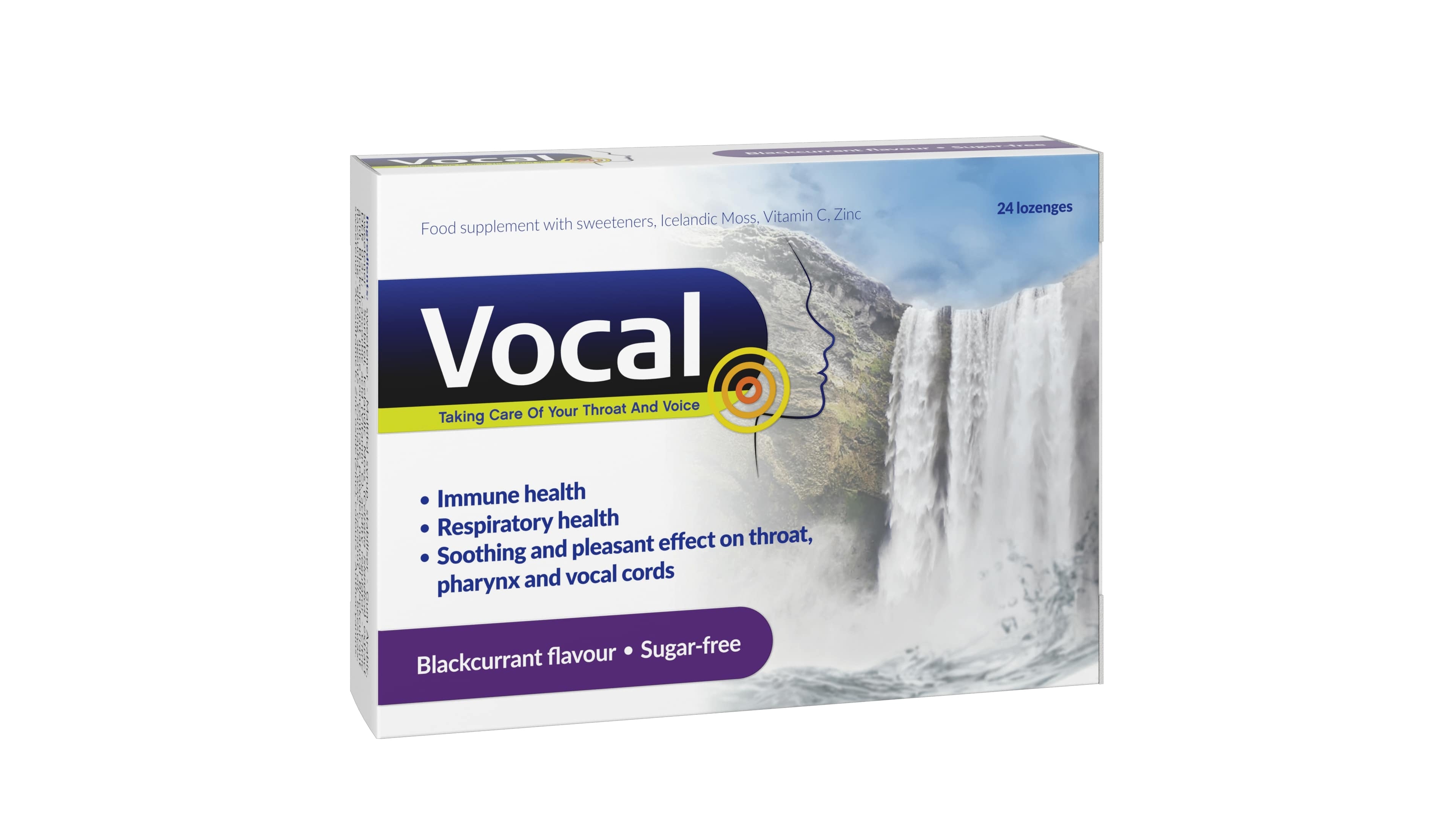 VOCAL juodųjų serbentų skonio, 24 pastilių -  